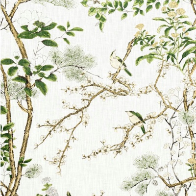 Thibaut Katsura Fabric In Green & White